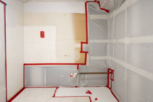 Best Mold Odor Removal Services  in Sandy, UT