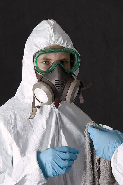 Best Emergency Mold Remediation  in Sandy, UT